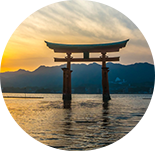 フィールドセッション